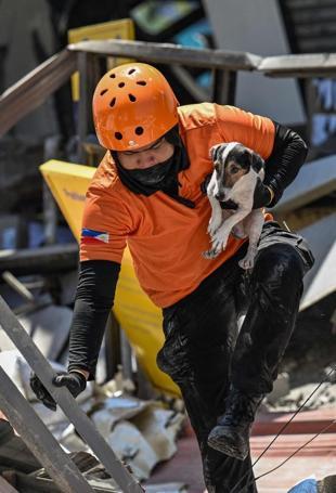Deadly Philippine quake ‘raised seabed by two meters’