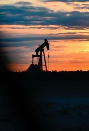 Oil stocks of OECD countries fall to lowest level since 1990: IEA