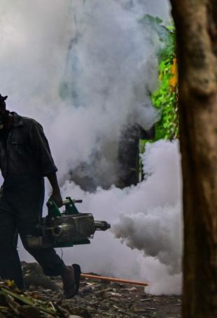 Sri Lanka troops to battle dengue mosquitoes