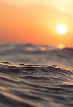 World’s oceans break June heat record: EU monitor