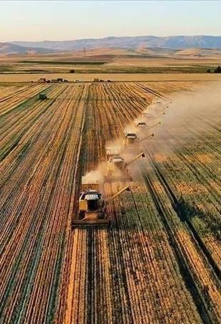 Türkiye’s agricultural output tops $83 billion in record high