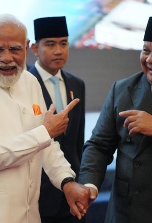 Indonesia, India agree to deepen ties