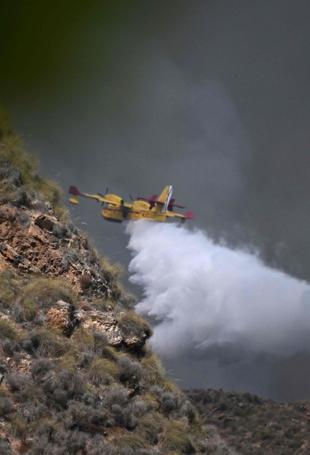 Eleven dead, 19 missing as Spain wildfire roars through village
