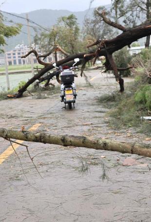 Typhoon makes landfall in China, downgraded to severe tropical storm