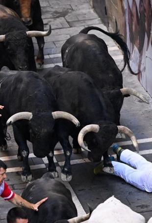 7 gored or bruised during San Fermin bull runs