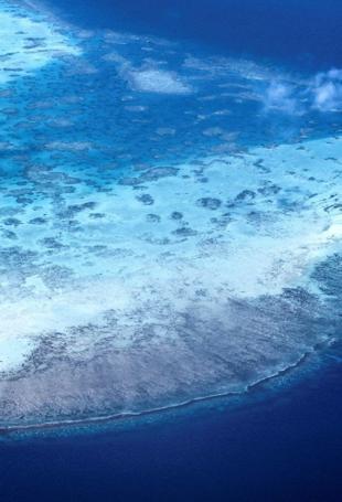 Great Barrier Reef at risk of ‘collapse,’ scientists warn