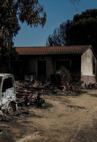 Livestock farmers fear for their livelihoods as wildfires ravage Spain