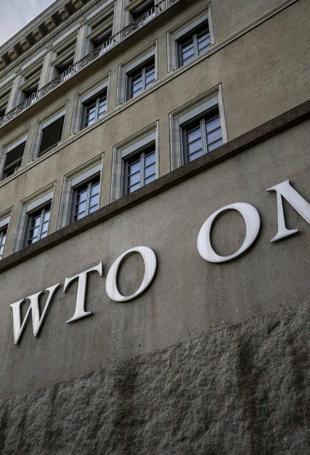 WTO sides with China over Türkiye in electric car trade case