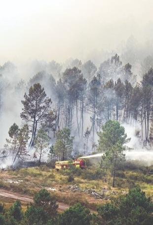 Rain dampens the France fire, as Spain reports almost no flames