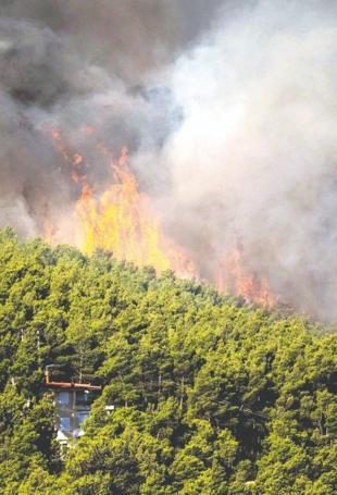 Wildfire toll mounts in Greece as blazes spread