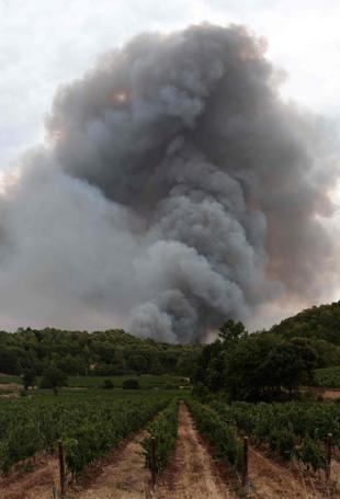 French winemakers dread smoky taste after wildfires