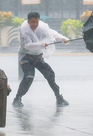 Typhoon Dolphin disrupts travel