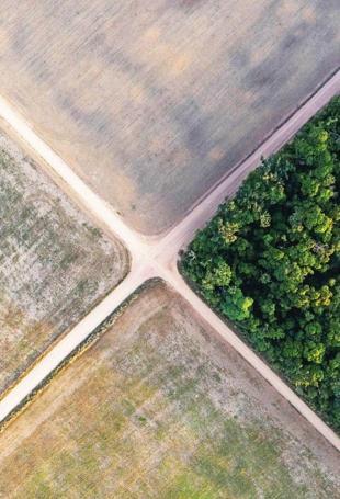 Brazil’s natural areas shrink: Study