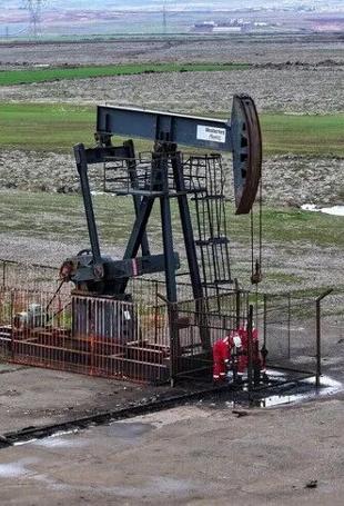 Diyarbakır could produce up to three times as much oil as Gabar: Minister
