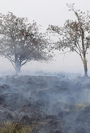 Record Belgium wildfire doubles in size