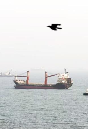 US-Iran ceasefire set to expire as Hormuz tensions persist