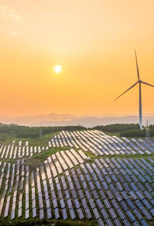 Renewables account for 88 pct of Türkiye’s electricity capacity growth over past year