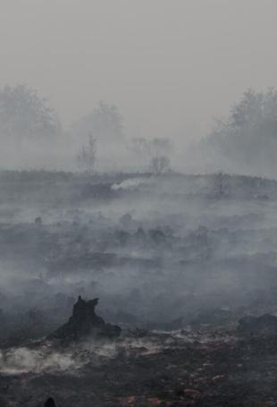 Firefighters pushing to ‘encircle’ Belgian fire