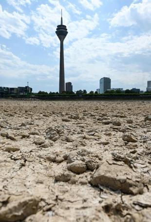 As Europes rivers recede, shippers scramble to limit damage