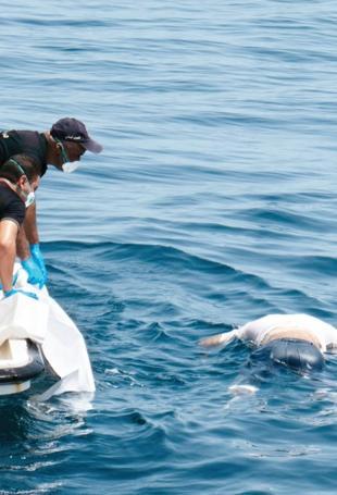 Migrants, rescue ships ‘face threats, harassment’ at sea