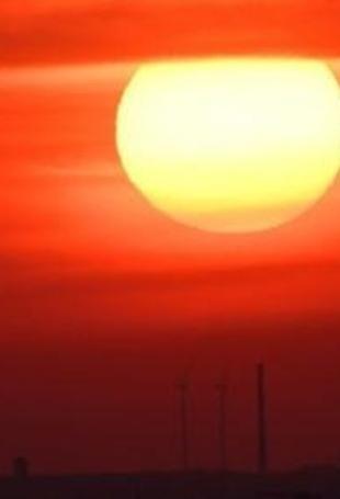 Germany reports record 15,800 heat-related deaths this summer