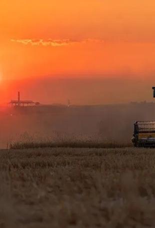 Türkiye’s strong grain stocks shield it from global supply risks: Industry official