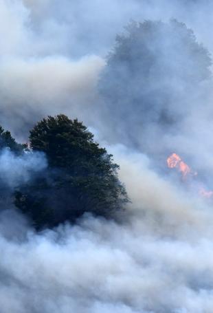 Wildfires, heat waves ‘endanger air quality’