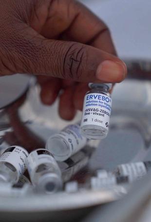 Ebola vaccine being tested in DR Congo