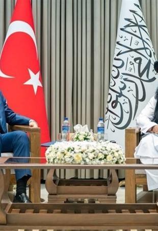 Türkiye renews effort to ease Afghanistan-Pakistan tensions