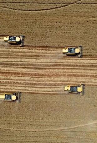 World Bank approves $750 million financing for Türkiye’s agrifood sector