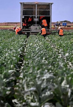 Türkiye launches $5.3 bln farm and food financing plan