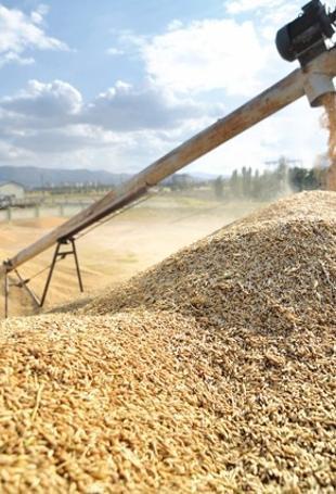 Türkiye steps up regional and global agricultural diplomacy efforts