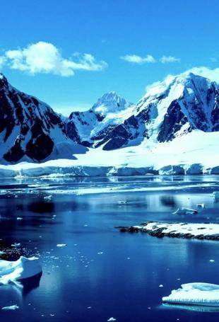 Polar oceans transformed as warming melts ice habitats