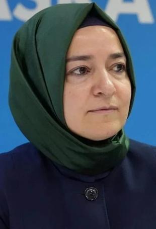Former Minister Kaya returns 1.86 bln Turkish Liras linked to fund probe