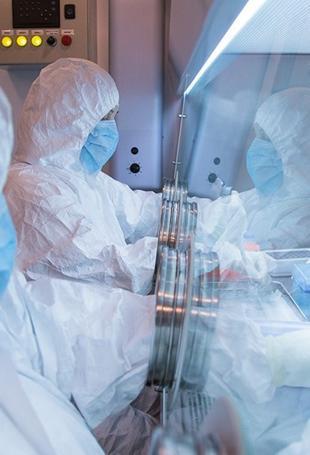 WHO says ‘low’ risk in Russia following plague reports