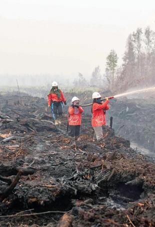 Indonesia fires ‘have burned nearly 2 mln hectares’