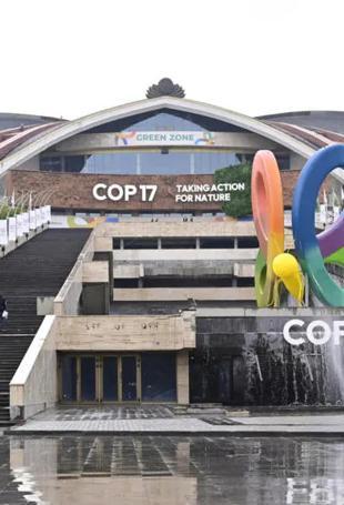 UN biodiversity summit opens