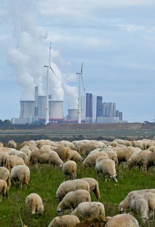 World falling dangerously short on climate action: UN chief
