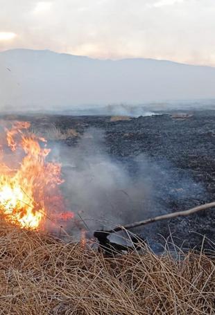 Fires fueled by El Nino leave 12 dead in Peru