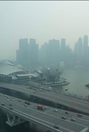 Indonesia cuts gas exports to Singapore