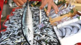Doların yükselmesi ithal balıkların fiyatını arttırdı