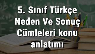 5. Sınıf Türkçe Neden Ve Sonuç Cümleleri konu anlatımı