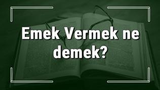 Emek Vermek ne demek? Emek Vermek deyiminin anlamı ve örnek cümle içinde kullanımı (TDK)