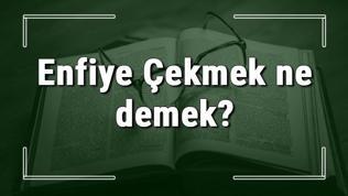 Enfiye Çekmek ne demek? Enfiye Çekmek deyiminin anlamı ve örnek cümle içinde kullanımı (TDK)