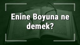 Enine Boyuna ne demek? Enine Boyuna deyiminin anlamı ve örnek cümle içinde kullanımı (TDK)