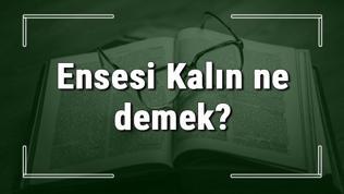 Ensesi Kalın ne demek? Ensesi Kalın deyiminin anlamı ve örnek cümle içinde kullanımı (TDK)