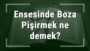 Ensesinde Boza Pişirmek ne demek? Ensesinde Boza Pişirmek deyiminin anlamı ve örnek cümle içinde kullanımı (TDK)