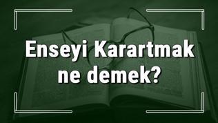 Enseyi Karartmak ne demek? Enseyi Karartmak deyiminin anlamı ve örnek cümle içinde kullanımı (TDK)