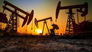 Petrol İhraç Eden Ülkeler Örgütü (OPEC) ve OPEC dışı bazı üretici ülkelerden oluşan OPEC+ grubu üyesi 8 ülke, petrol üretimini temmuzda bir önceki aya göre günlük 411 bin varil artırma kararı aldı.
