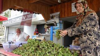 Toprak Mahsulleri Ofisi (TMO) tarafından 2025 yılı için Giresun kalite fındık fiyatı 200 lira olarak açıklanırken, Giresunlu üreticiler ürünlerini yol kenarındaki tezgahlarda 300 liraya satmaya başladı.